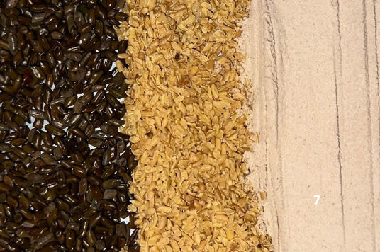 SAIGEL Ext --SATGURU GROUP